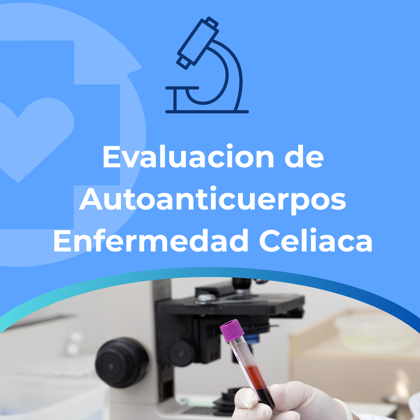 Evaluacion de Autoanticuerpos Enfermedad Celiaca