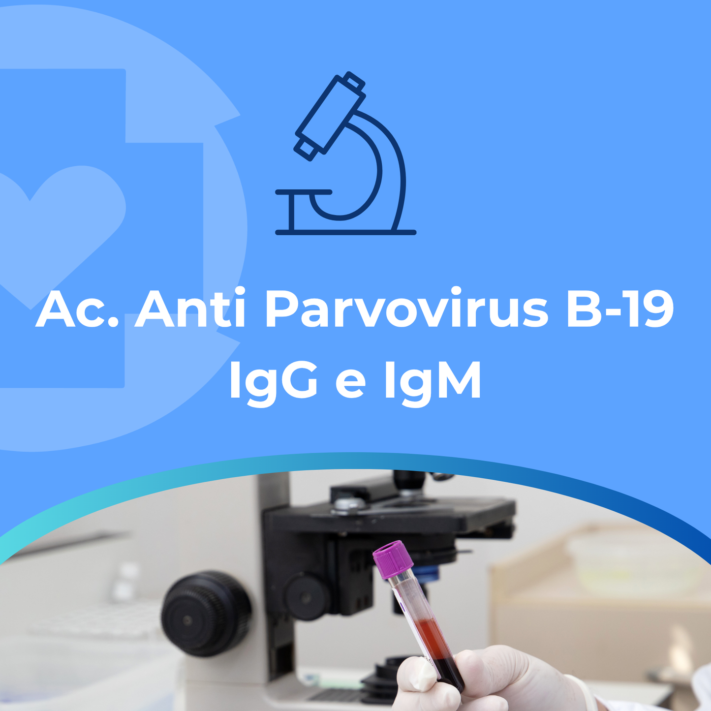 Ac. Anti Parvovirus B-19 IgG e IgM