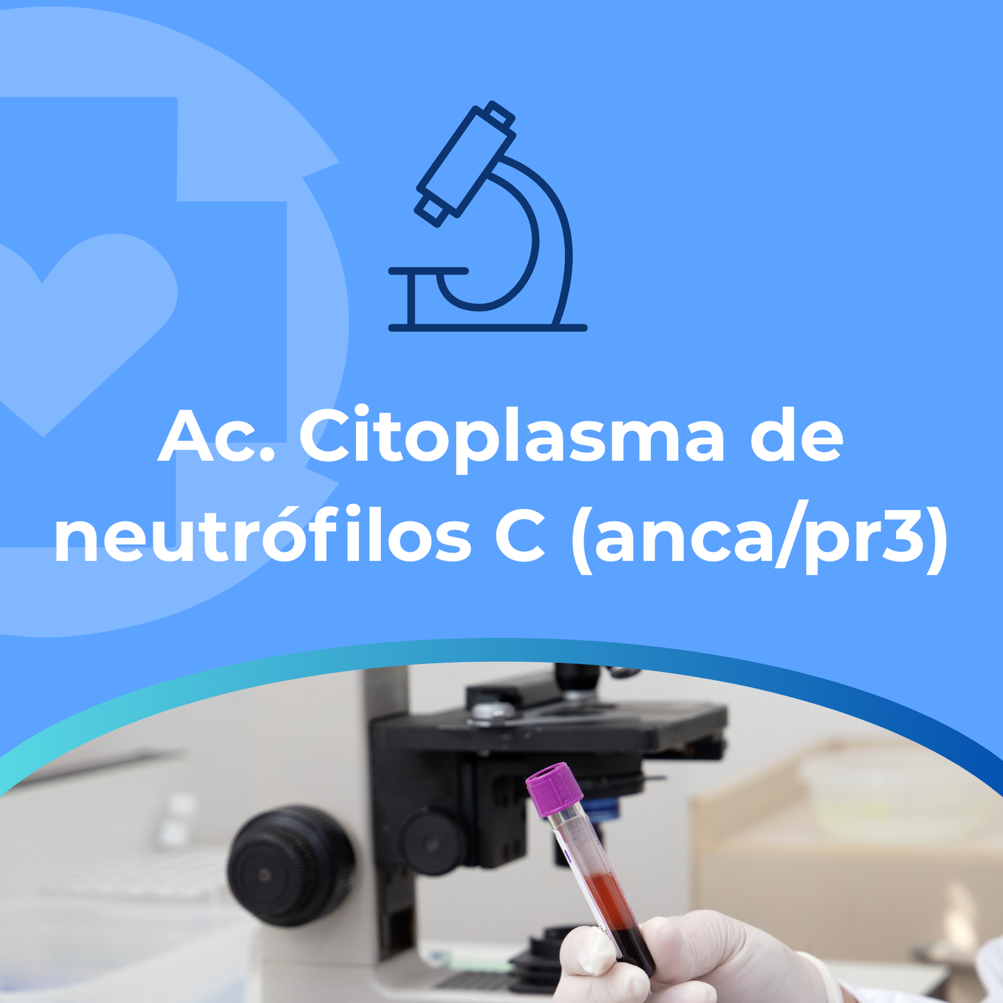 Ac. Citoplasma de neutrófilos C (anca/pr3)