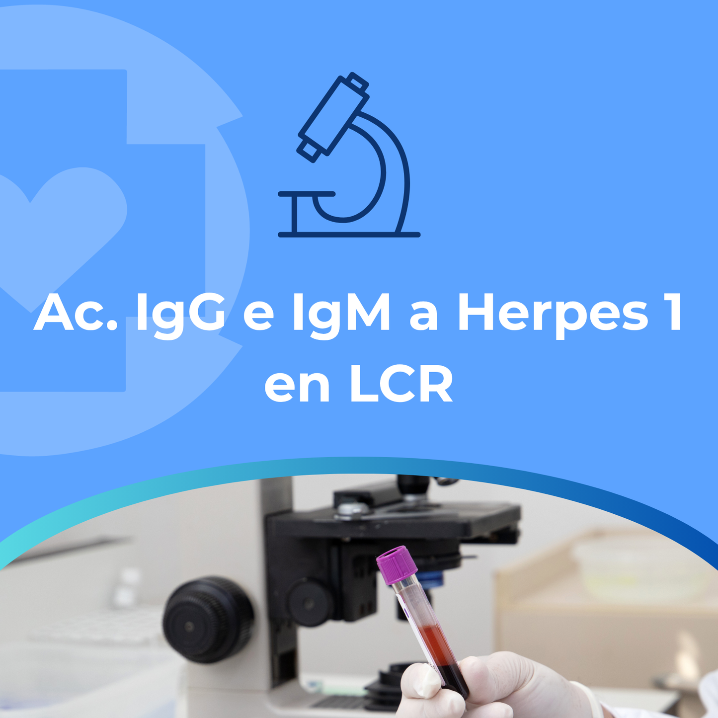 Ac. IgG e IgM a Herpes1en LCR (L-V)