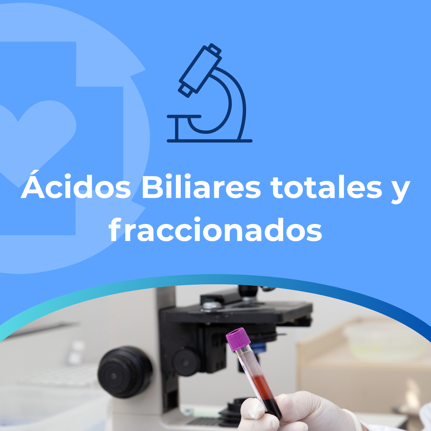 Ácidos Biliares totales y fraccionados
