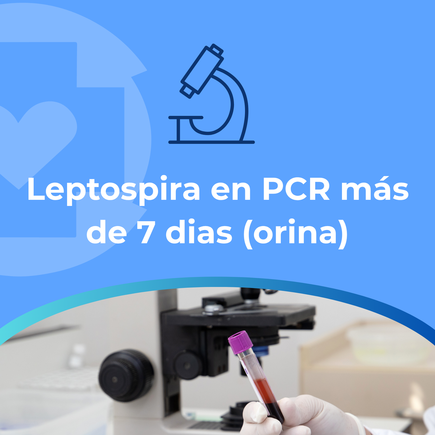 Leptospira en PCR más de 7 dias (orina)
