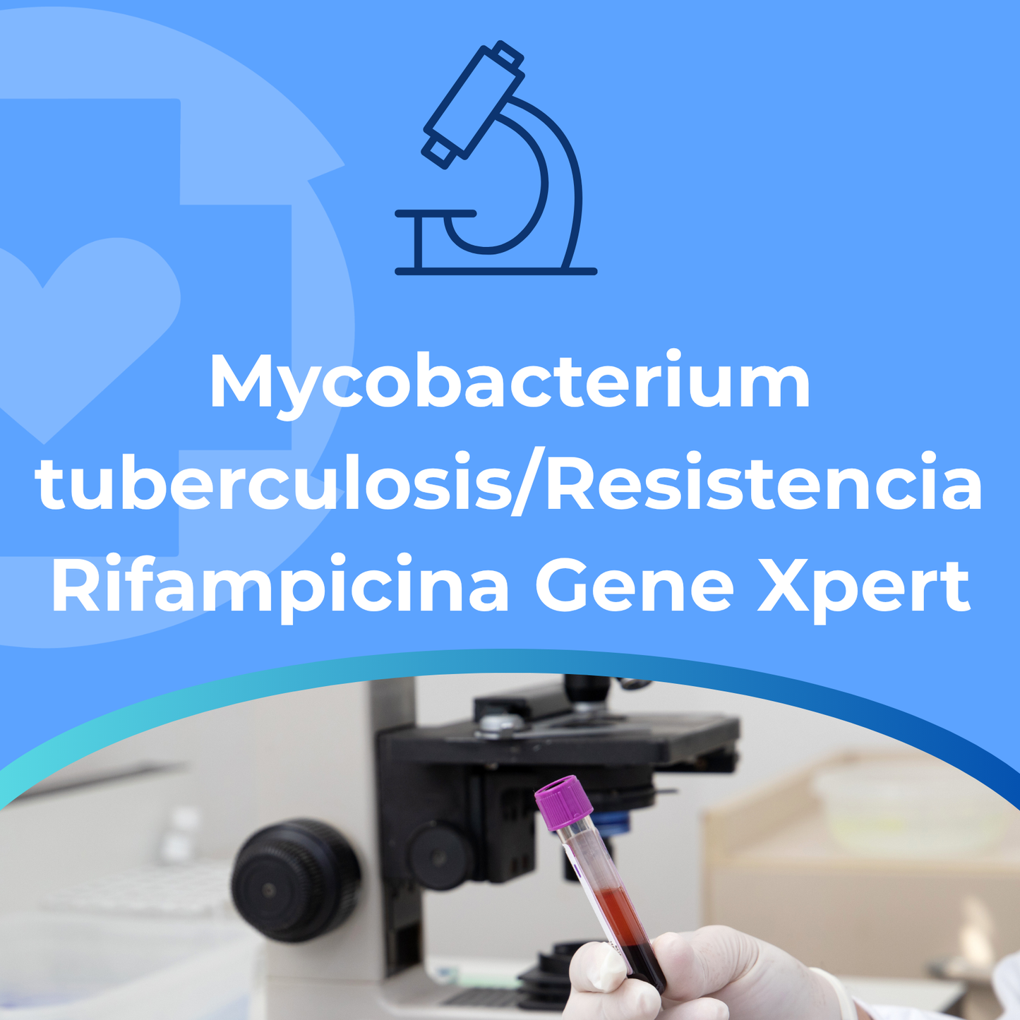 Mycobacterium tuberculosis/Resistencia Rifampicina Gene Xpert