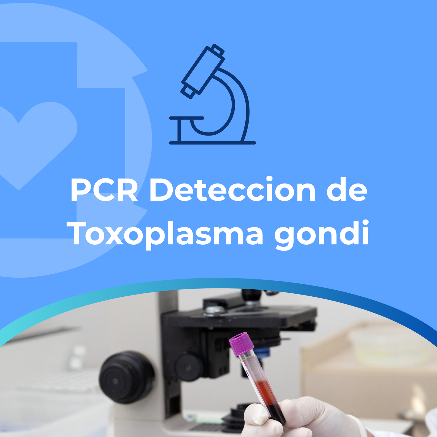 PCR Deteccion de Toxoplasma gondi