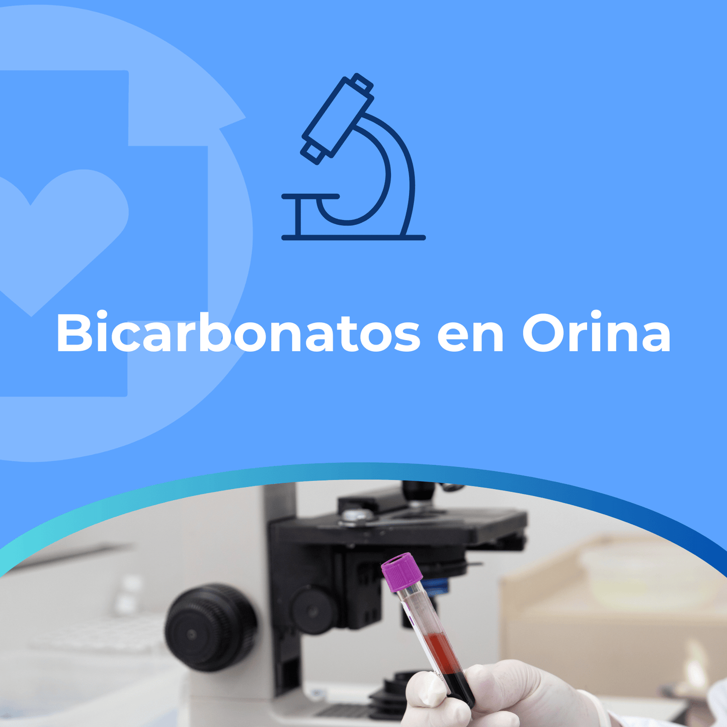 Bicarbonatos en Orina