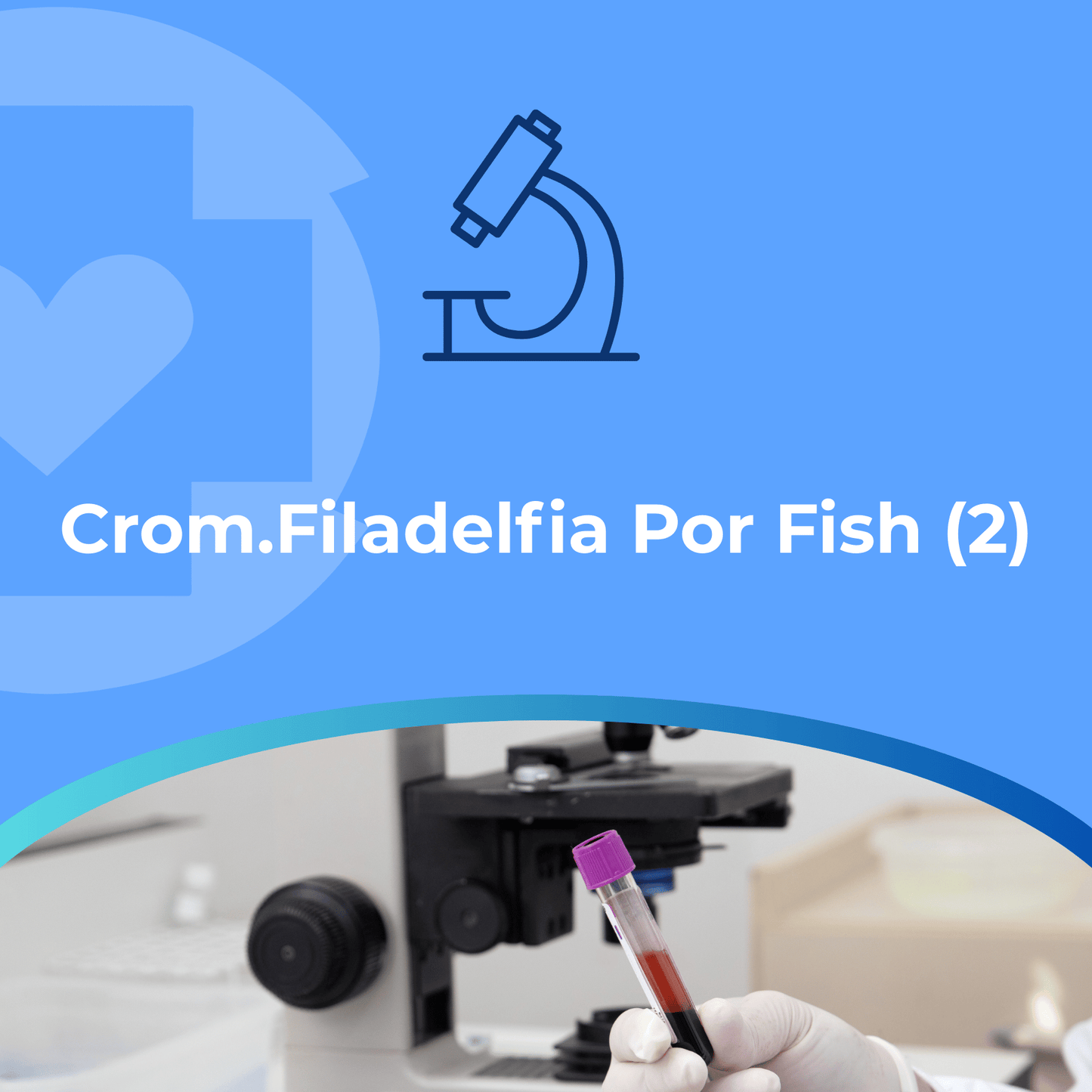 Cromosoma Filadelfia por FISH (2)