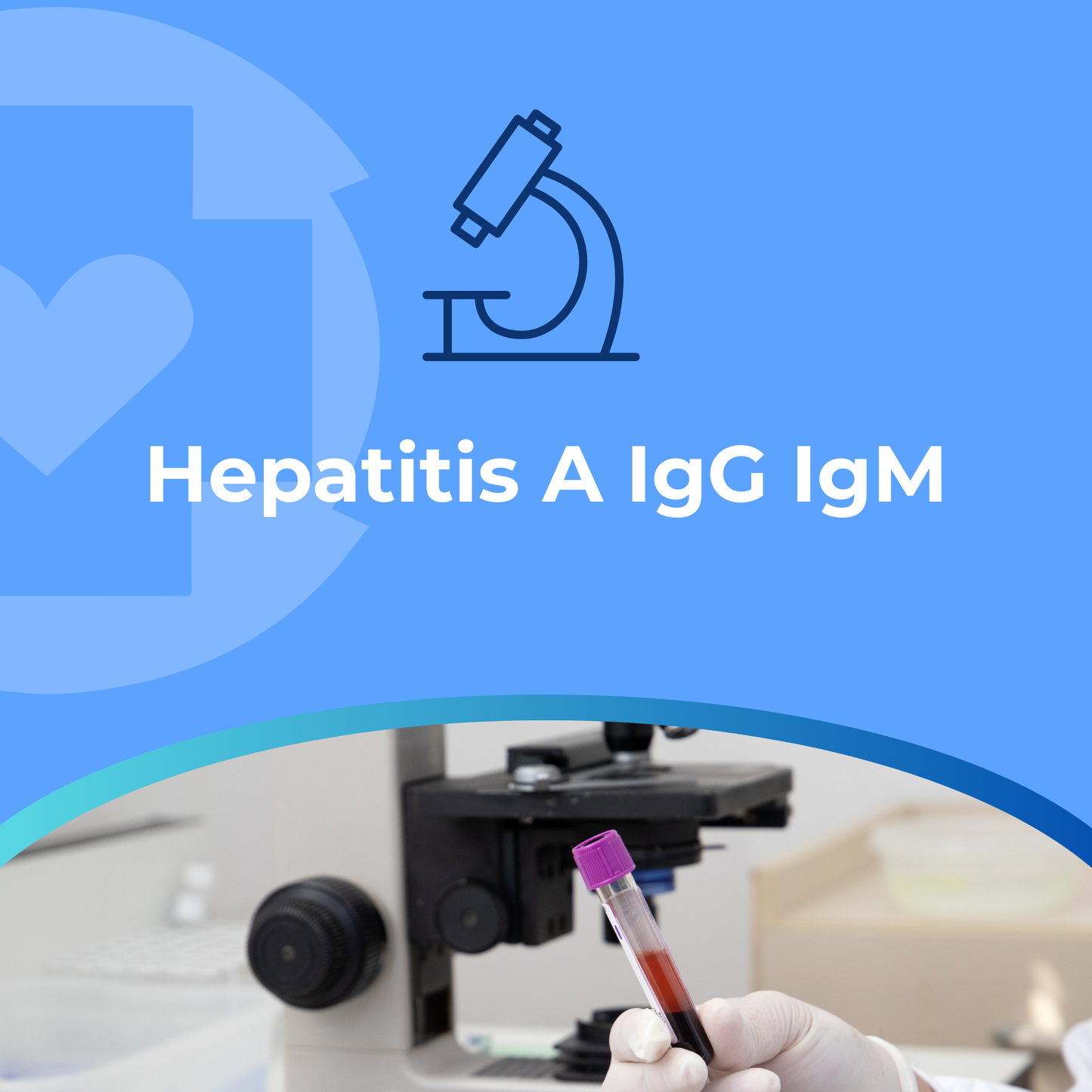 Hepatitis A IgG IgM