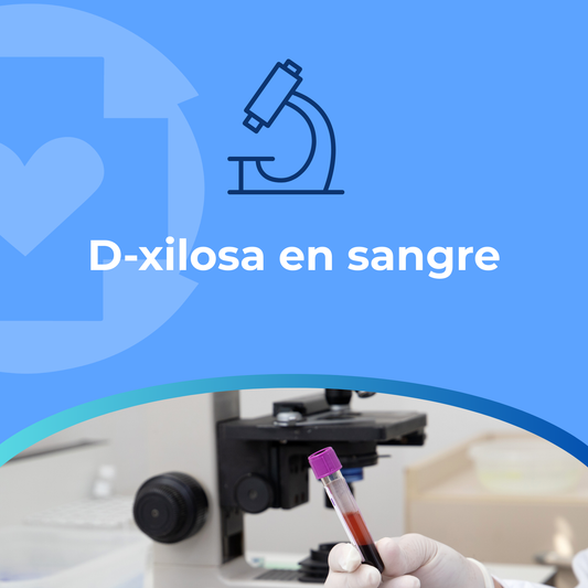 D-xilosa en sangre