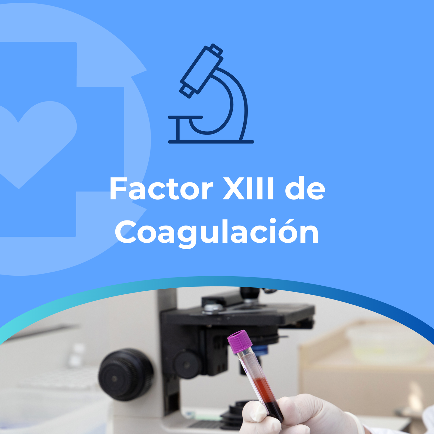 Factor XIII de Coagulación