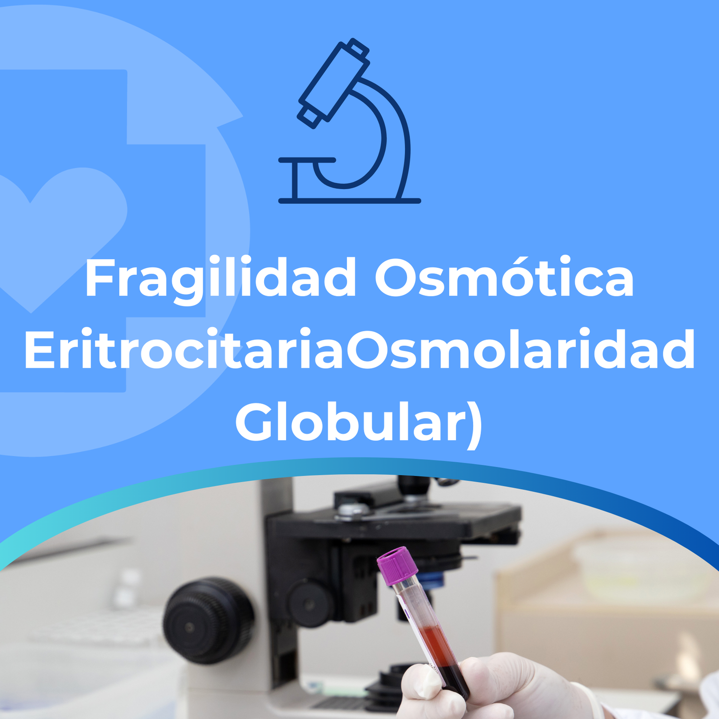 Fragilidad Osmótica Eritrocitaria Osmolaridad Globular