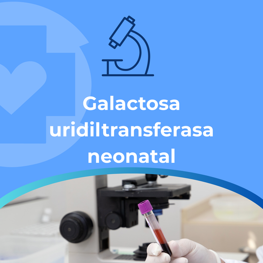 Galactosa uridiltransferasa neonatal