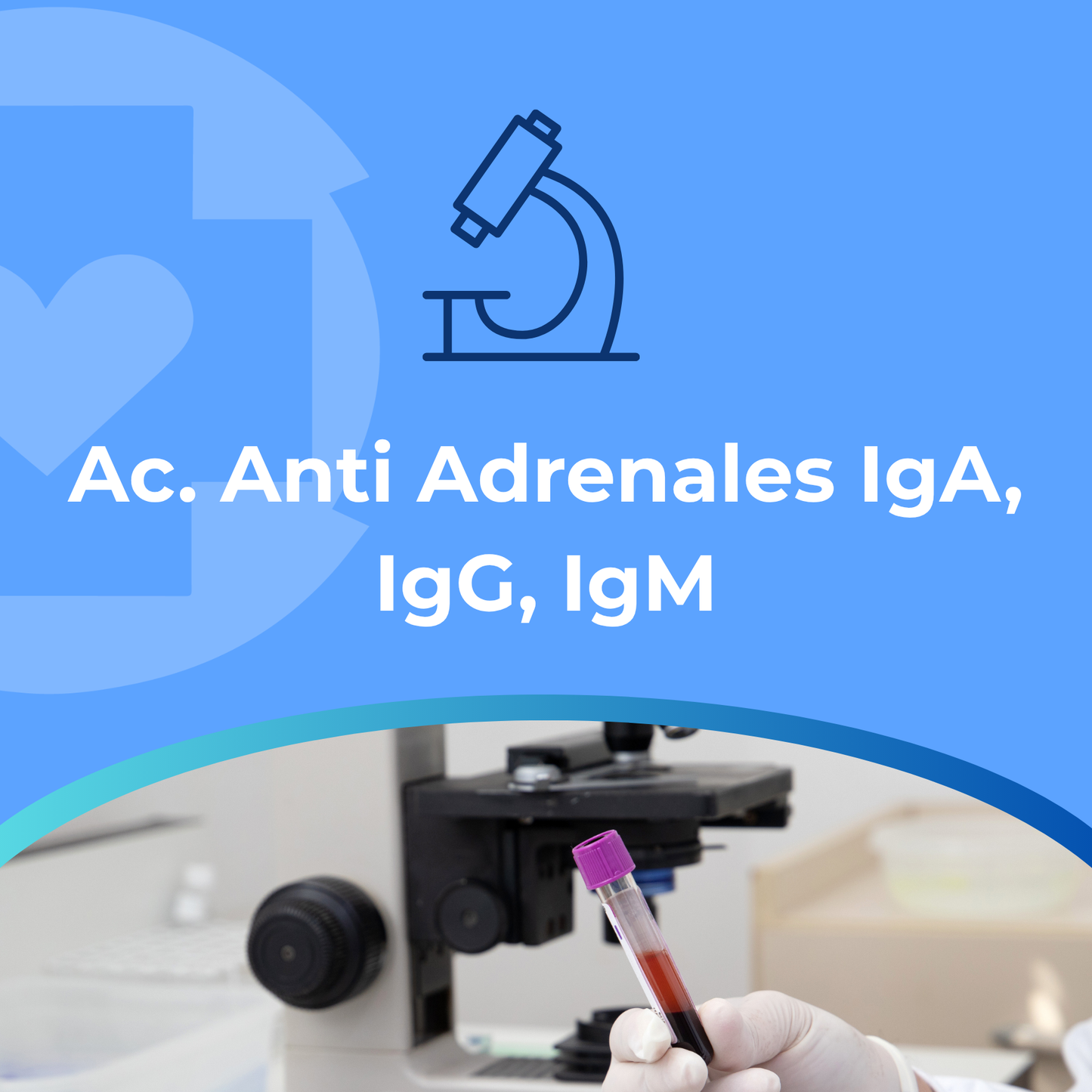Ac. Anti Adrenales IgA, IgG, IgM