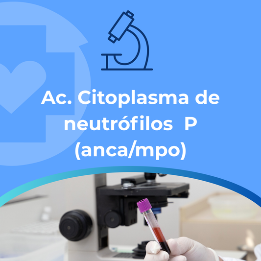 Ac. Citoplasma de neutrófilos  P (anca/mpo)