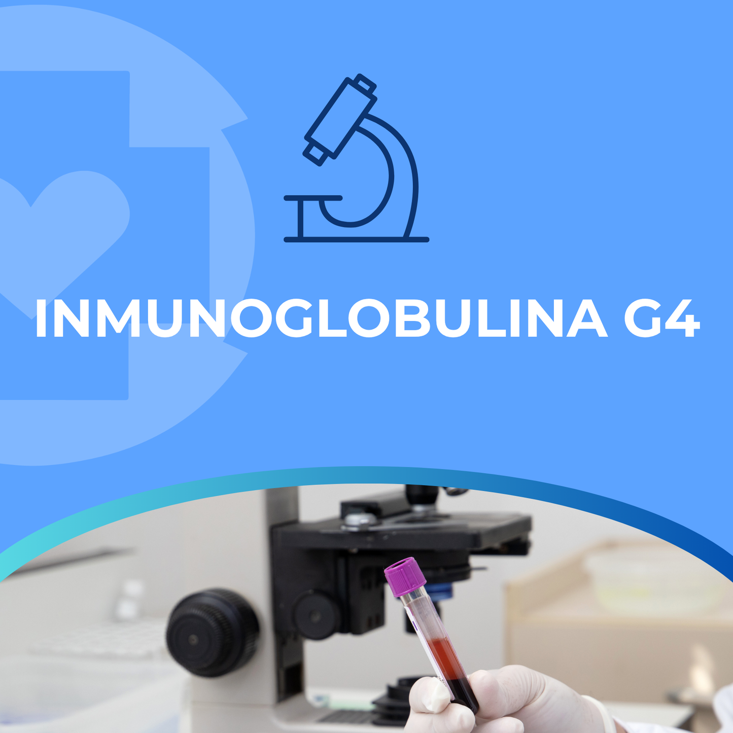 INMUNOGLOBULINA G4