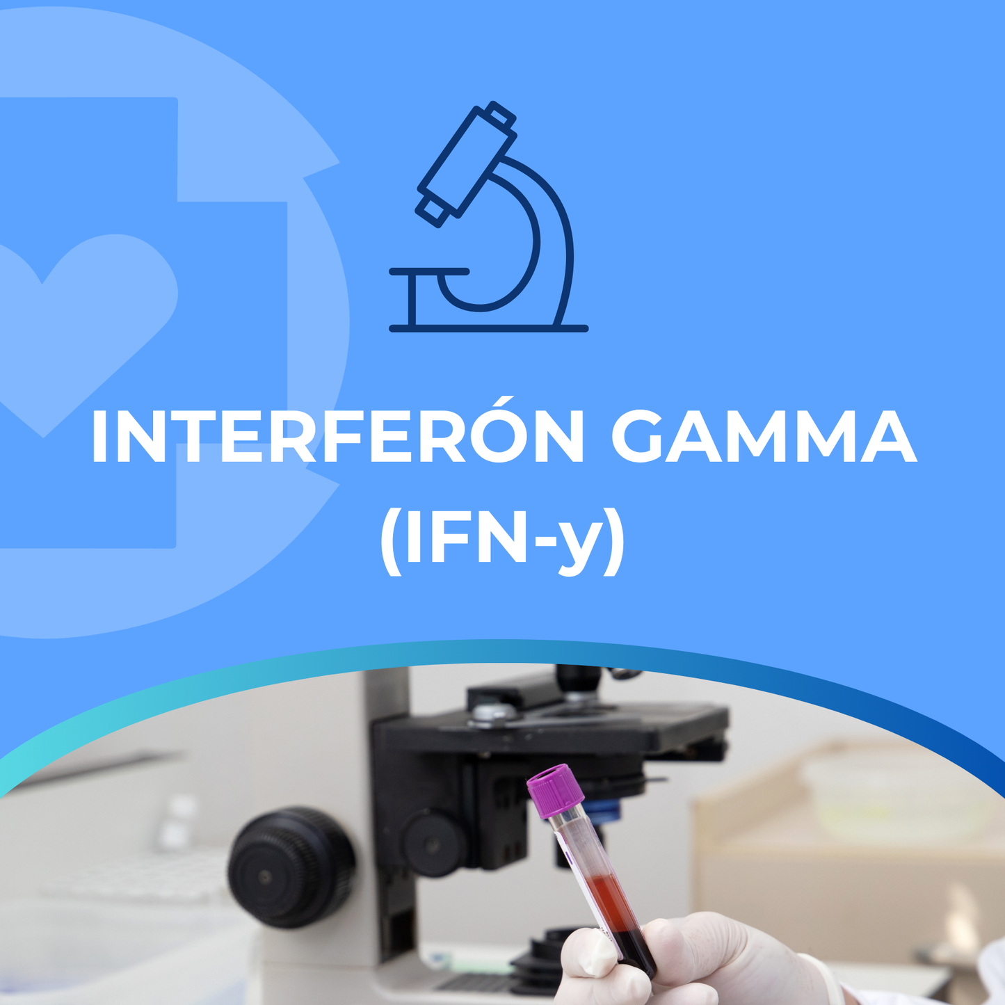 INTERFERÓN GAMMA (IFN-y)