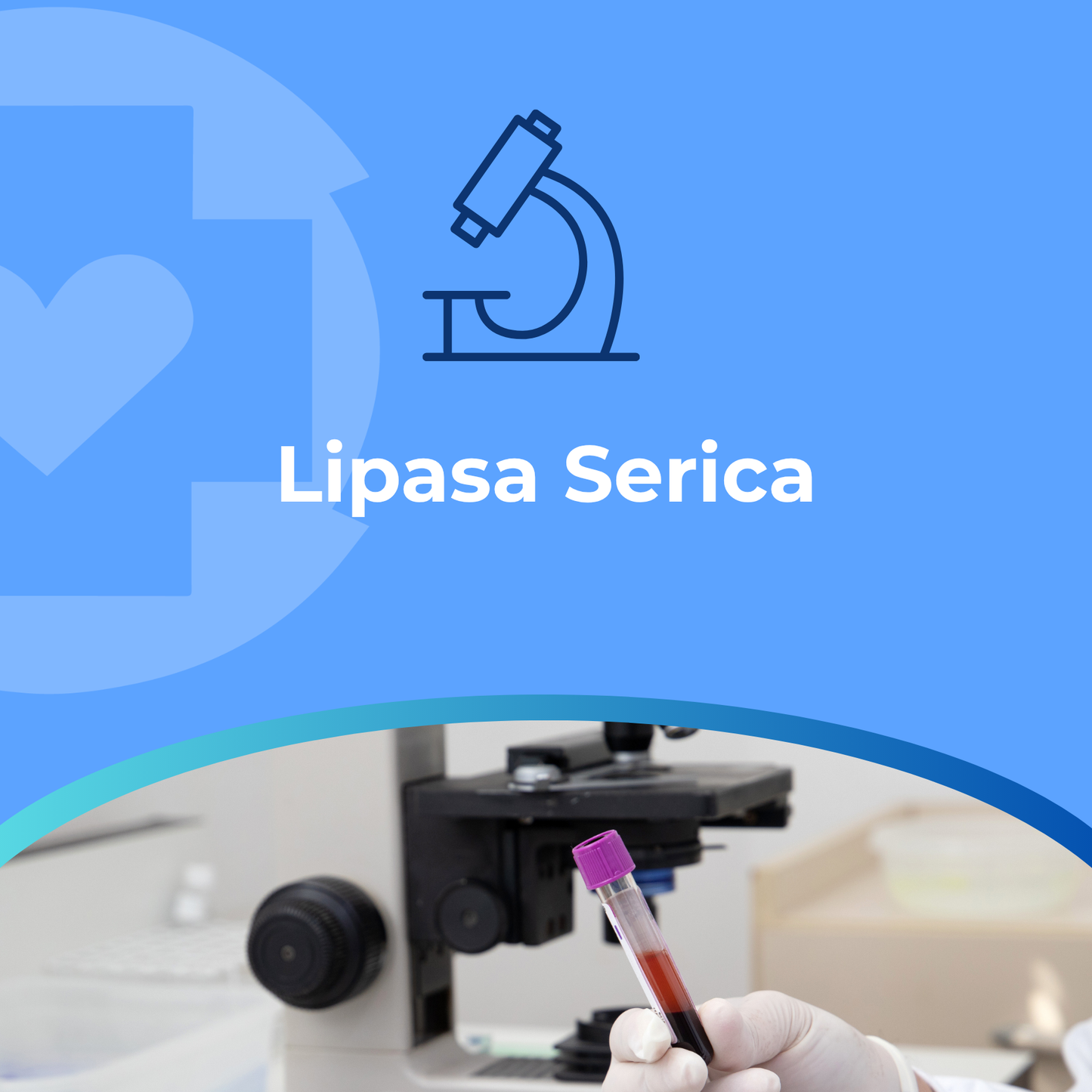 Lipasa Serica