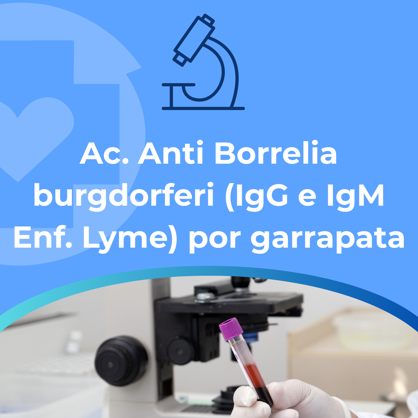 Ac. Anti Borrelia burgdorferi (IgG e IgM Enf. Lyme)por garrapata