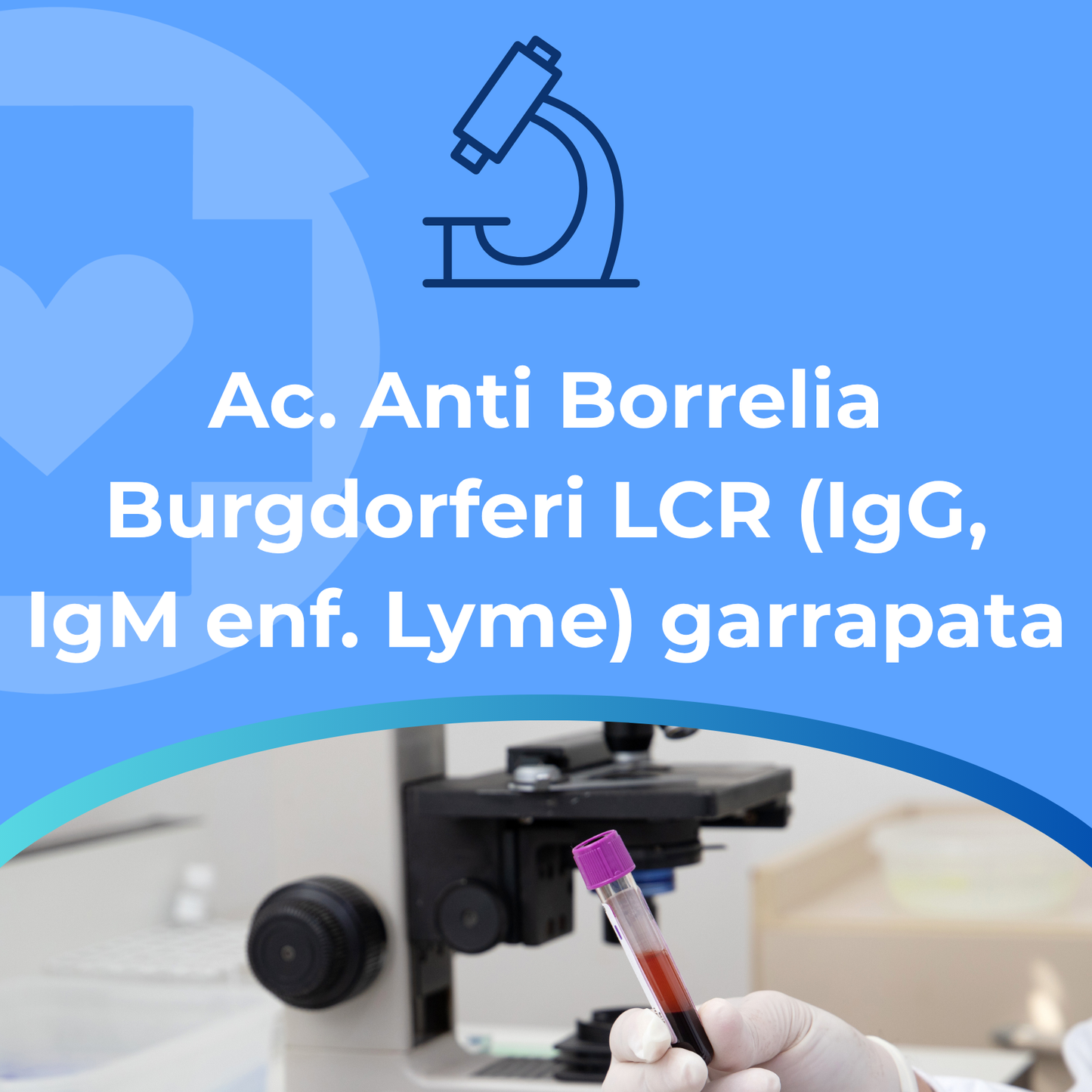 Ac. Anti Borrelia Burgdorferi LCR (IgG, IgM enf. Lyme)garrapata
