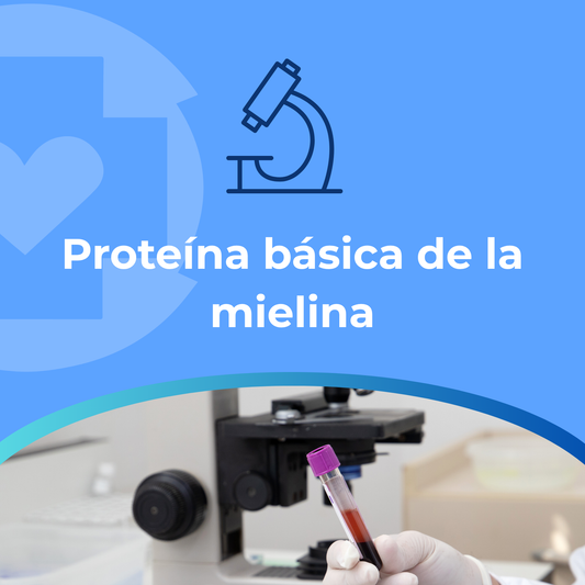 Proteína básica de la mielina