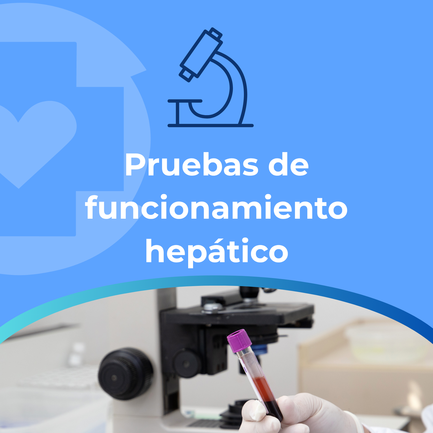 Pruebas de funcionamiento hepático