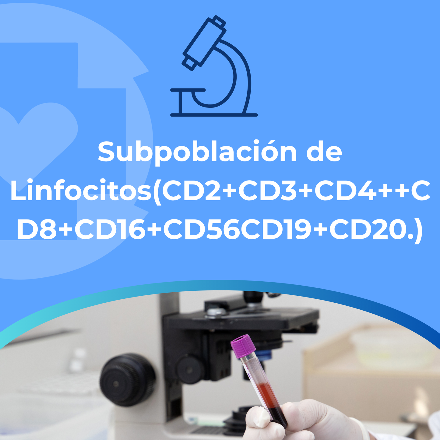 Subpoblación de Linfocitos(CD2+CD3+CD4++CD8+CD16+CD56CD19+CD20.)