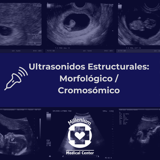 Ultrasonido Estructural: Morfológico (18/24.0 SDG), Cromosómico (12/14 SDG)