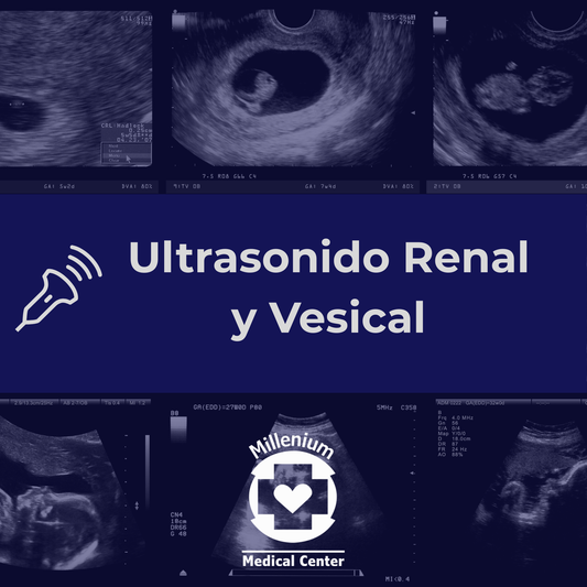 Ultrasonido Renal y Vesical