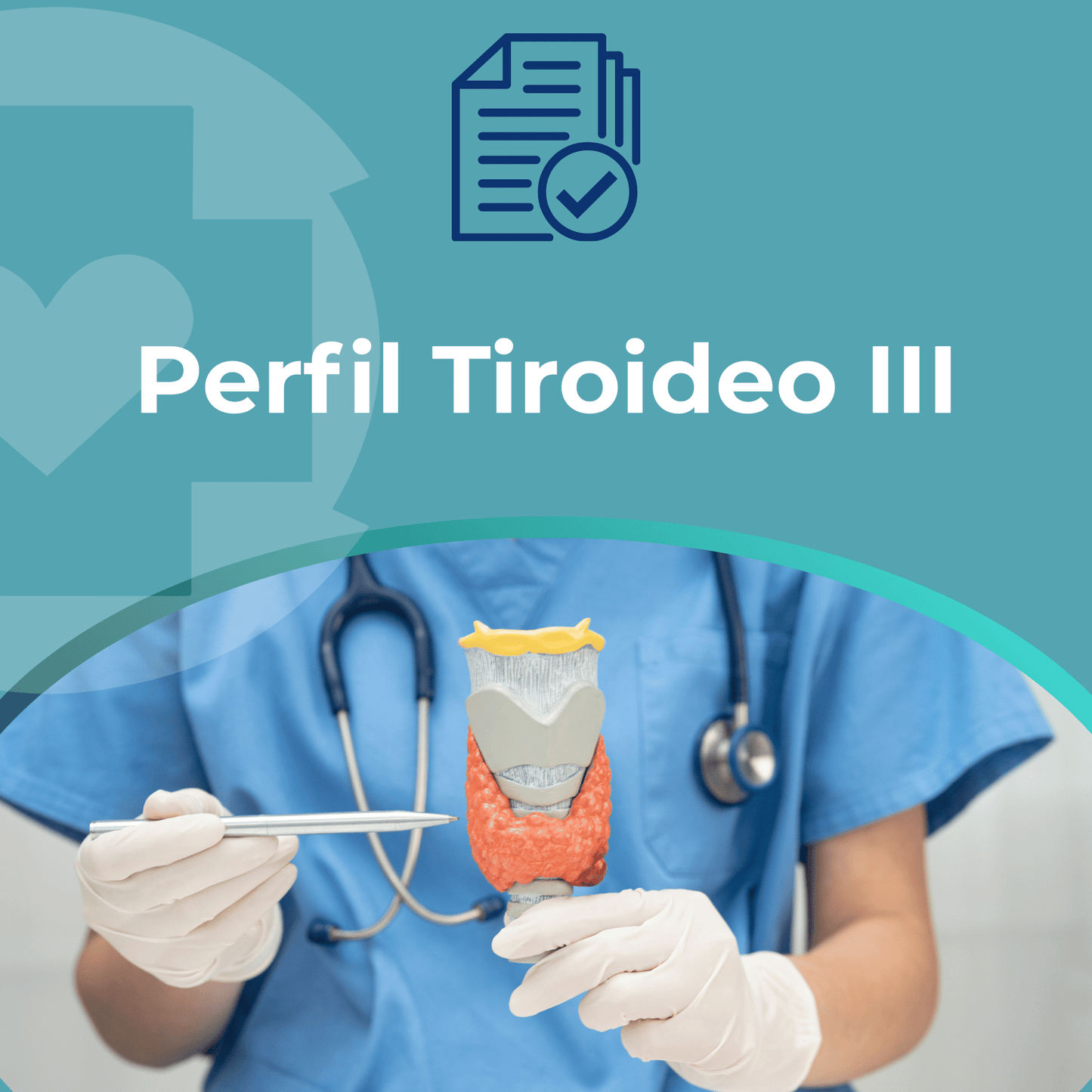 Perfil Tiroideo III