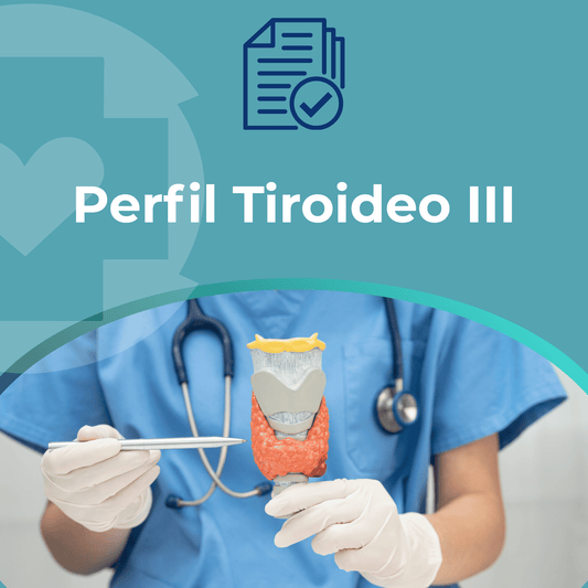 Perfil Tiroideo III