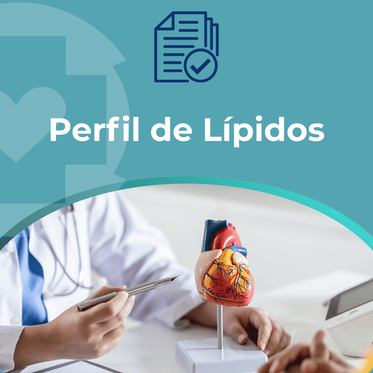 Perfil de Lípidos