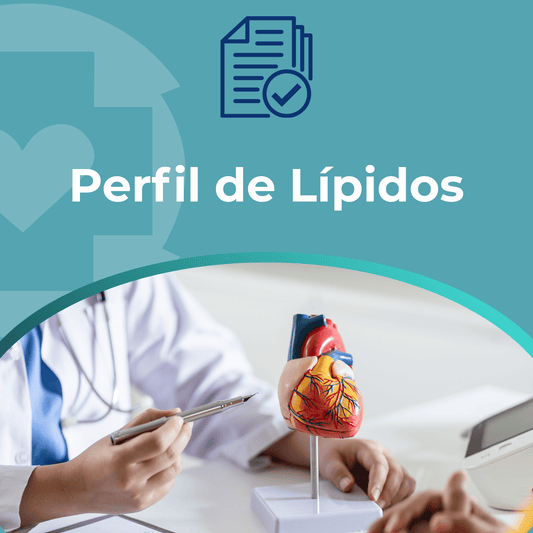 Perfil de Lípidos