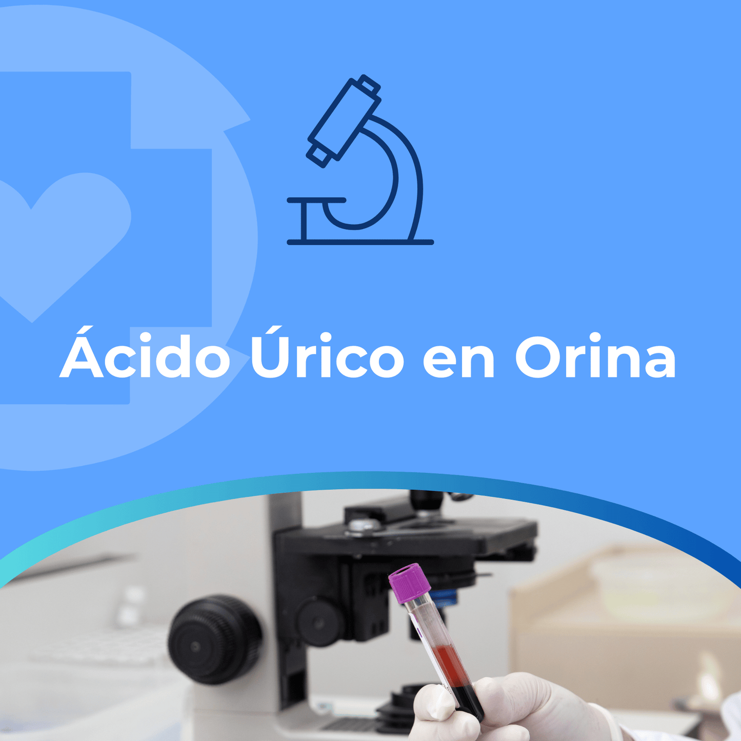 Ácido Urico en Orina