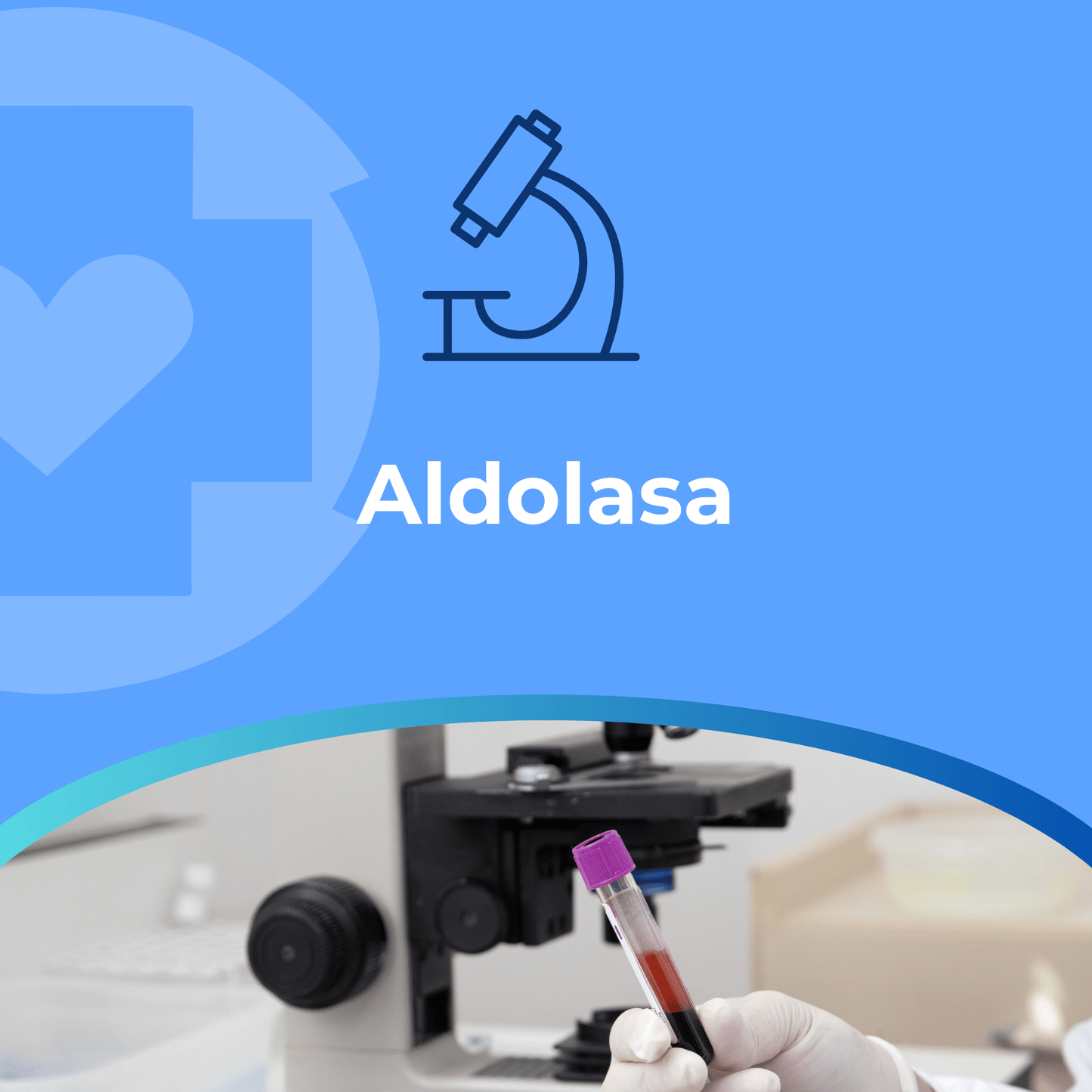 Aldolasa