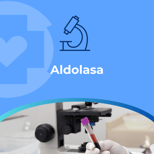 Aldolasa