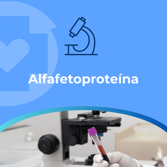 Alfafetoproteína