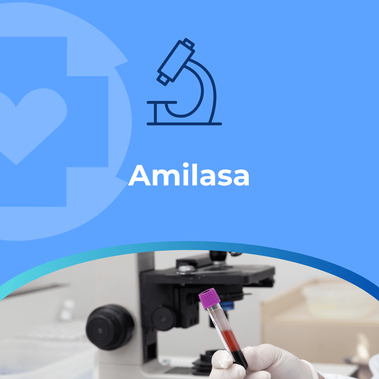 Amilasa