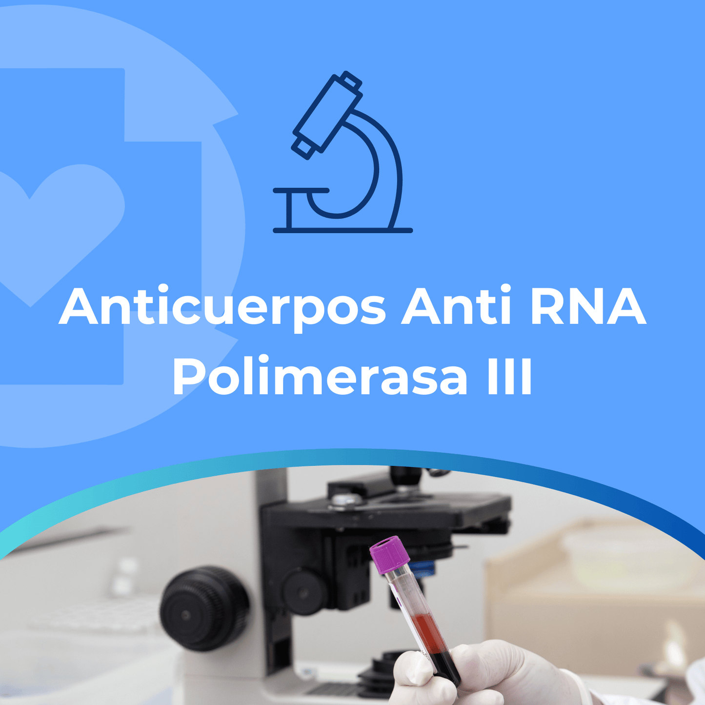Anticuerpos Anti–RNA Polimerasa III