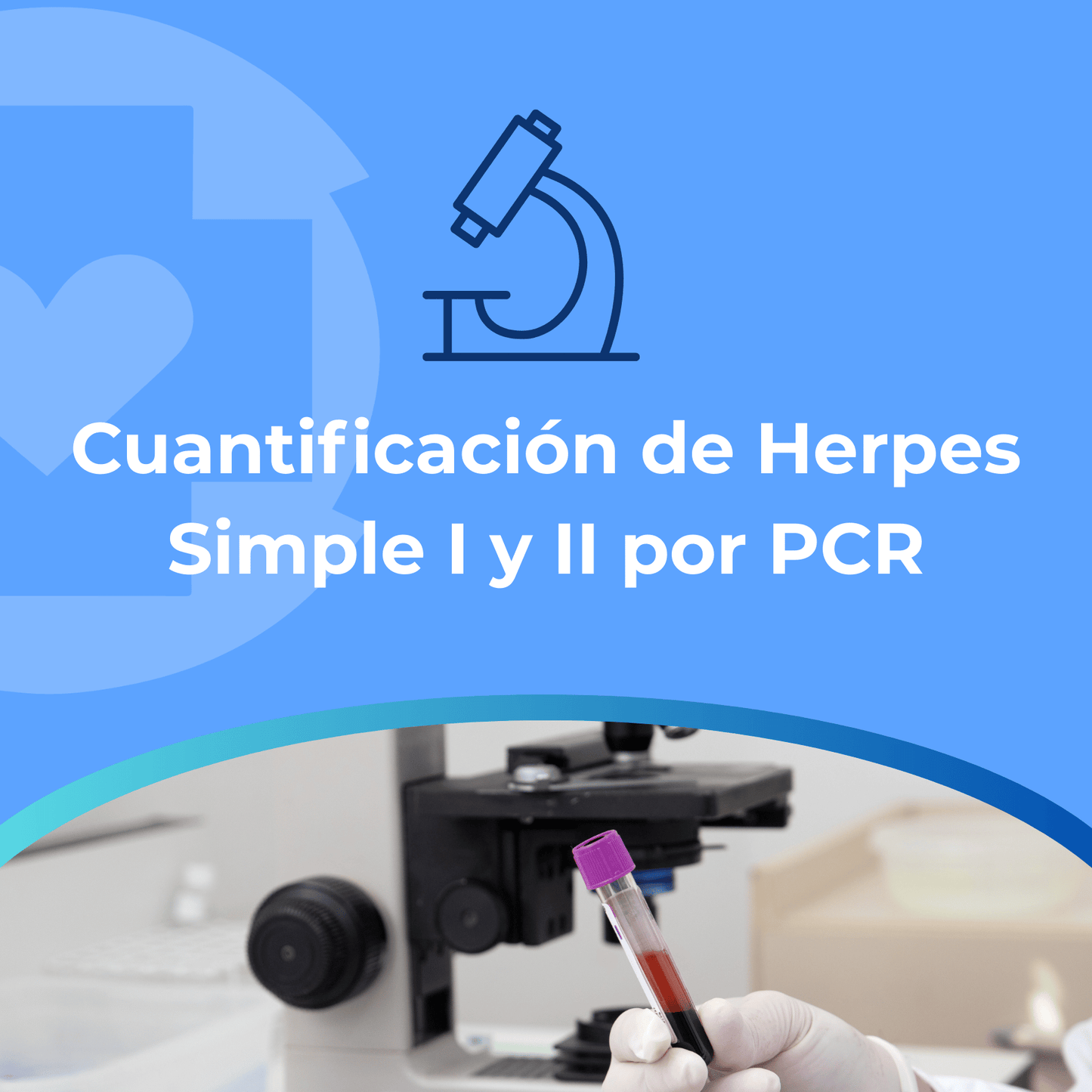 Cuantificación de Herpes simple I Y II por PCR