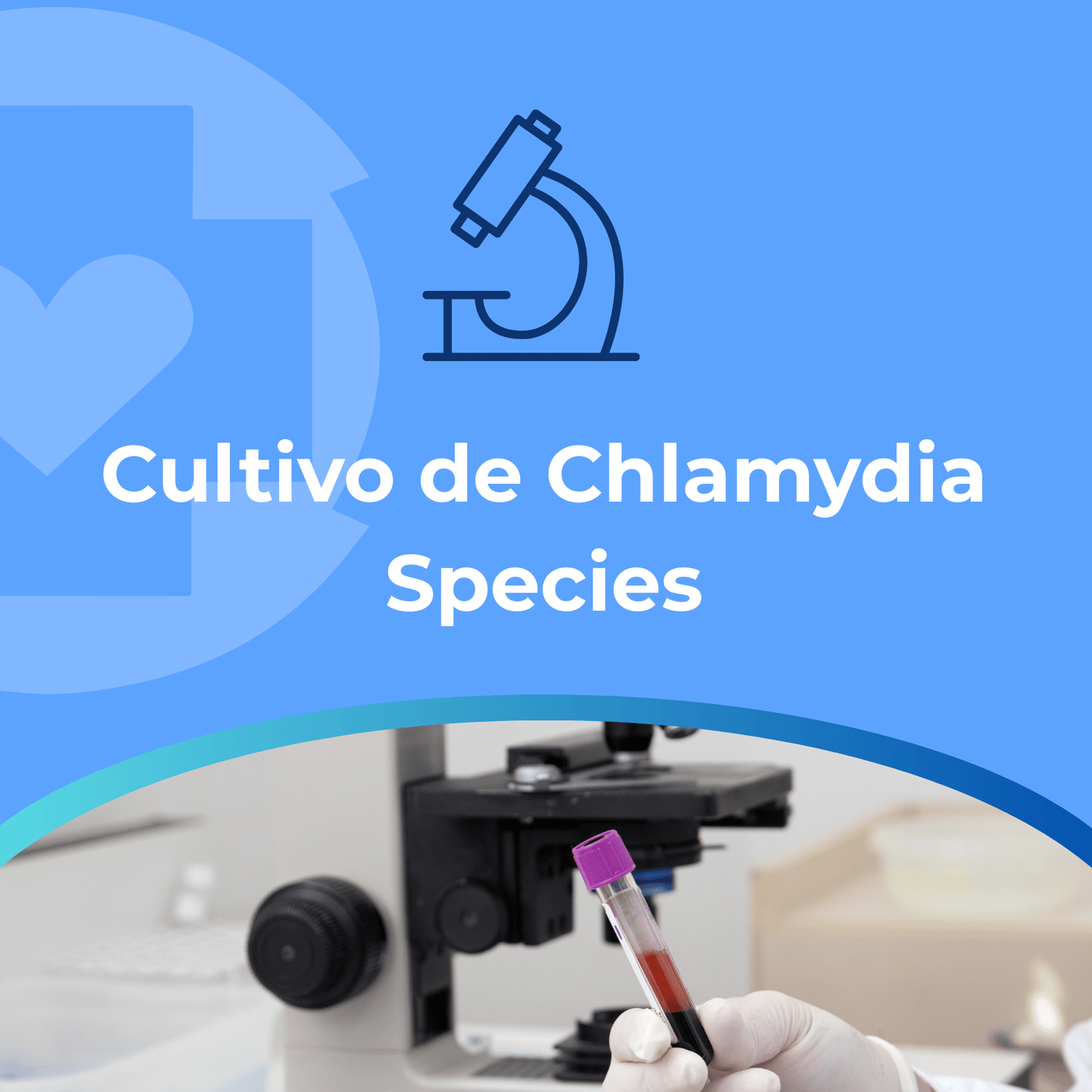 Cultivo de Chlamydia Species