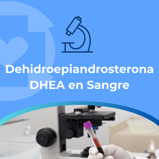 Dehidroepiandrosterona DHEA en Sangre