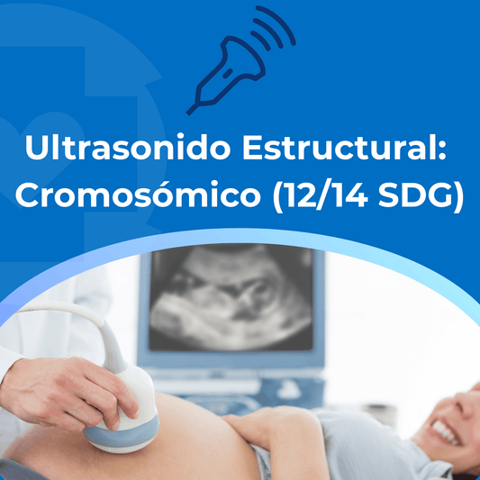 Ultrasonido Estructural: Cromosómico (12/14 SDG)
