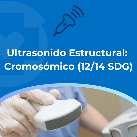 Ultrasonido Estructural: Cromosómico (12/14 SDG)