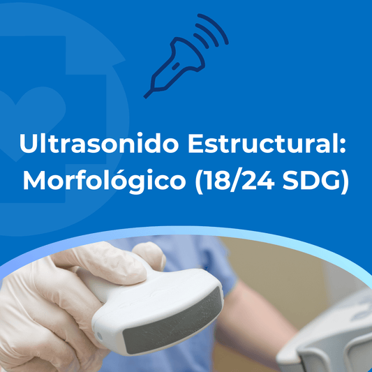 Ultrasonido Estructural: Morfológico (18/24 SDG)
